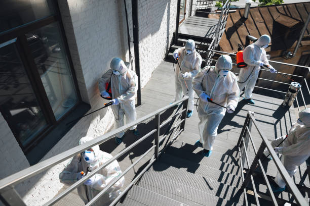 Best Airborne Mold Testing  in Half Moon, NC